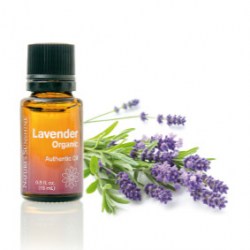 Essential Oil - Lavender*4
